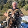 Image 6 : 4 - DAY PYRENEAN CHAMOIS OR MOUFLON HUNT FOR 2 HUNTERS AND 2 NON-HUNTERS
