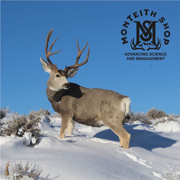 WYOMING GAME & FISH COMMISSIONER TAG 2026