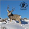 Image 1 : WYOMING GAME & FISH COMMISSIONER TAG 2026