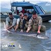 Image 4 : 10th ANNUAL WILD SHEEP JURASSIC CLASSIC STURGEON FISHING EXPERIENCE 2-DAY TRIP FOR 2 ANGLERS