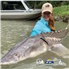 Image 5 : 10th ANNUAL WILD SHEEP JURASSIC CLASSIC STURGEON FISHING EXPERIENCE 2-DAY TRIP FOR 2 ANGLERS
