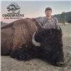 Image 5 : 5-DAY TROPHY BISON HUNT FOR 1 HUNTER IN CALIFORNIA