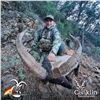 Image 2 : 4-DAY SOUTHEASTERN IBEX HUNT FOR 1 HUNTER