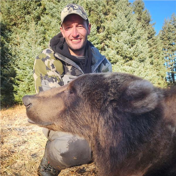 ALASKA AFOGNAK BEAR GOVERNOR’S PERMIT