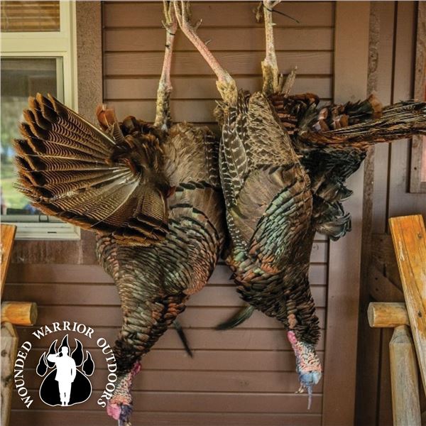 2-DAY OSCEOLA TURKEY, QUAIL AND HOG HUNT FOR 2 HUNTERS IN FLORIDA