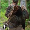 Image 6 : 2-DAY OSCEOLA TURKEY, QUAIL AND HOG HUNT FOR 2 HUNTERS IN FLORIDA