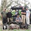 Image 7 : 2-DAY OSCEOLA TURKEY, QUAIL AND HOG HUNT FOR 2 HUNTERS IN FLORIDA