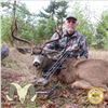 Image 3 : 5-DAY COLUMBIA BLACKTAIL DEER AND BLACK BEAR COMBO HUNT IN OREGON FOR 1 HUNTER