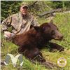 Image 4 : 5-DAY COLUMBIA BLACKTAIL DEER AND BLACK BEAR COMBO HUNT IN OREGON FOR 1 HUNTER