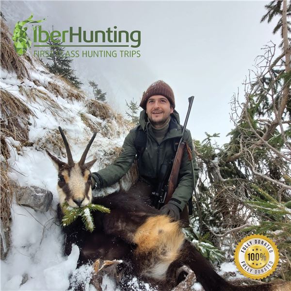 5-DAY ALPINE CHAMOIS, BALKAN CHAMOIS & HYBRID KRI-KRI IBEX HUNT FOR 1 HUNTER AND 1 NON-HUNTER