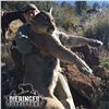 Image 1 : 6-DAY MOUNTAIN LION HUNT FOR 1 HUNTER IN ARIZONA