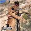 Image 3 : 6-DAY MOUNTAIN LION HUNT FOR 1 HUNTER IN ARIZONA