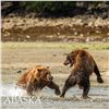 Image 4 : 6-DAY LUXURY YACHT BASED WILDLIFE VIEWING TRIP OF ALASKA’S KATMAI PENINSULA FOR 10 PEOPLE