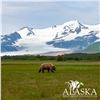Image 5 : 6-DAY LUXURY YACHT BASED WILDLIFE VIEWING TRIP OF ALASKA’S KATMAI PENINSULA FOR 10 PEOPLE