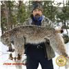 Image 2 : 5-DAY LYNX HUNT FOR 1 HUNTER AND 1 NON-HUNTER IN BRITISH COLUMBIA