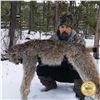 Image 5 : 5-DAY LYNX HUNT FOR 1 HUNTER AND 1 NON-HUNTER IN BRITISH COLUMBIA
