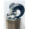 Image 2 : “BIGHORN SKULL” WELDED METAL SCULPTURE