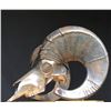 Image 3 : “BIGHORN SKULL” WELDED METAL SCULPTURE