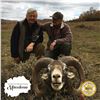 Image 2 : 5 - DAY EUROPEAN MOUFLON HUNT FOR 2 HUNTERS IN MACEDONIA
