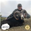 Image 3 : 5 - DAY EUROPEAN MOUFLON HUNT FOR 2 HUNTERS IN MACEDONIA