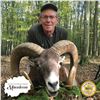 Image 4 : 5 - DAY EUROPEAN MOUFLON HUNT FOR 2 HUNTERS IN MACEDONIA