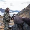 Image 3 : 9-DAY HIMALAYHAN BULL TAHR HUNT FOR 2 HUNTERS