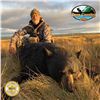 5-DAY/2 BLACK BEAR HUNT FOR 1 HUNTER