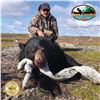 Image 3 : 5-DAY/2 BLACK BEAR HUNT FOR 1 HUNTER