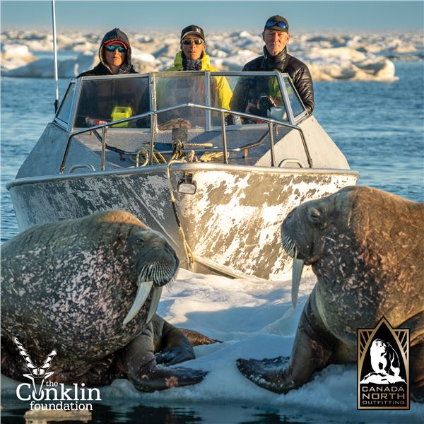 7-DAY WALRUS ARCTIC ADVENTURE HUNT FOR 1 HUNTER