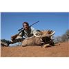 Image 2 : Namibia Big Game Hunt For 3 Hunters - 6 Days