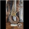 DALL SHEEP HORN VASE ON A ROCK BASE