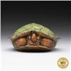 Image 2 : SHELTER IN PLACE- LIMITED EDITION BRONZE TURTLE