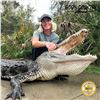 Image 4 : 3-DAY/2-NIGHTS AMERICAN ALLIGATOR HUNT FOR 1 HUNTER AND 1 NON-HUNTER
