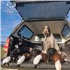 Image 4 : 3-DAY WATERFOWL HUNT & 2-DAY WINE TASTING FOR 2 IN NEW ZEALAND