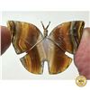 FLINT KNAPPED BUTTERFLY NECKLACE W/18” GOLD PLATED CHAIN