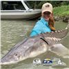 Image 5 : 10th ANNUAL WILD SHEEP JURASSIC CLASSIC STURGEON FISHING EXPERIENCE 2-DAY TRIP FOR 2 ANGLERS