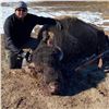 Image 3 : BLACKFEET NATION BISON + PRONGHORN COMBINATION PERMIT