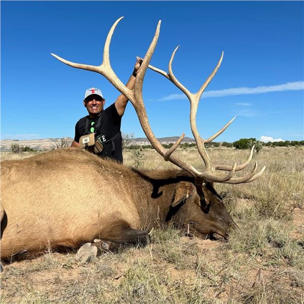 5 - DAY BULL ELK HUNT IN NEW MEXICO FOR 1 HUNTER AND 1 NON-HUNTER