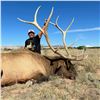 Image 1 : 5 - DAY BULL ELK HUNT IN NEW MEXICO FOR 1 HUNTER AND 1 NON-HUNTER