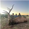 Image 3 : 5 - DAY BULL ELK HUNT IN NEW MEXICO FOR 1 HUNTER AND 1 NON-HUNTER