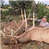 Image 4 : 5 - DAY BULL ELK HUNT IN NEW MEXICO FOR 1 HUNTER AND 1 NON-HUNTER