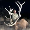 Image 5 : 5 - DAY BULL ELK HUNT IN NEW MEXICO FOR 1 HUNTER AND 1 NON-HUNTER