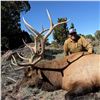 Image 6 : 5 - DAY BULL ELK HUNT IN NEW MEXICO FOR 1 HUNTER AND 1 NON-HUNTER