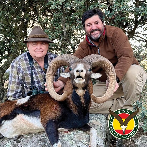 3-DAY IBERIAN MOUFLON SHEEP HUNT FOR 2 HUNTERS IN SPAIN