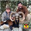 Image 1 : 3-DAY IBERIAN MOUFLON SHEEP HUNT FOR 2 HUNTERS IN SPAIN