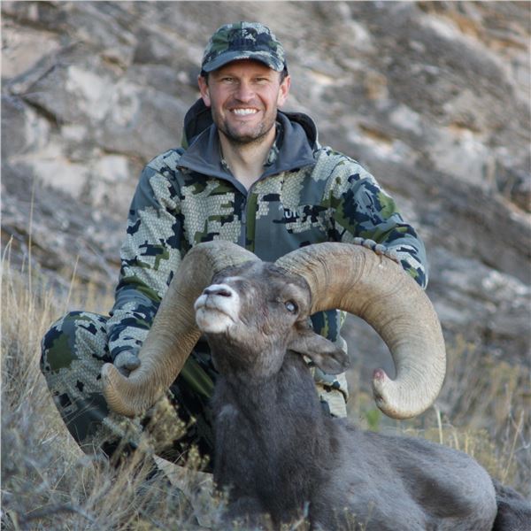 NEW MEXICO DESERT BIGHORN SHEEP