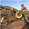 Image 3 : NEW MEXICO DESERT BIGHORN SHEEP