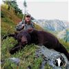 Image 1 : 6-DAY FALL MOUNTAIN BLACK BEAR HUNT IN B.C. FOR 1 HUNTER & 1 WARRIOR