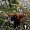 Image 3 : 6-DAY FALL MOUNTAIN BLACK BEAR HUNT IN B.C. FOR 1 HUNTER & 1 WARRIOR