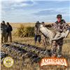 Image 1 : 3 - DAY WATERFOWL & SAND HILL CRANE HUNT IN ALBERTA CANADA FOR 1 HUNTER